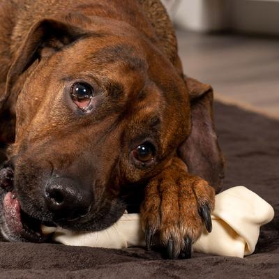 Show full view: Pet Factory Beefhide 6 to 7-inch Natural Flavored Dog Bones, 10 count slide 3 of 9