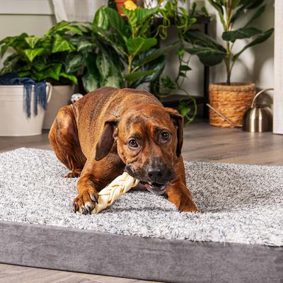 Show full view: Pet Factory Beefhide 7-inch Braided Sticks Natural Flavored Chewy Dog Treats, 6 count slide 4 of 6