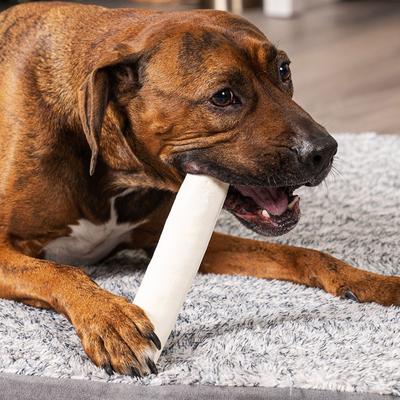 Show full view: Pet Factory Beefhide 8-inch Rolls Natural Flavored Dog Hard Chews, 15 count slide 3 of 11