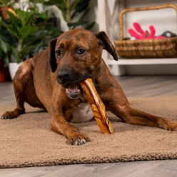 Pet Factory Beefhide 8-inch Rolls Peanut Butter Flavored Dog Hard Chews, 15 count slide 2 of 9