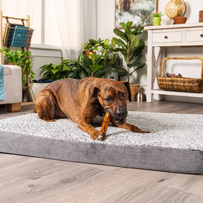 Show full view: Pet Factory Beefhide 8-inch Rolls Peanut Butter Flavored Dog Hard Chews, 15 count slide 10 of 10