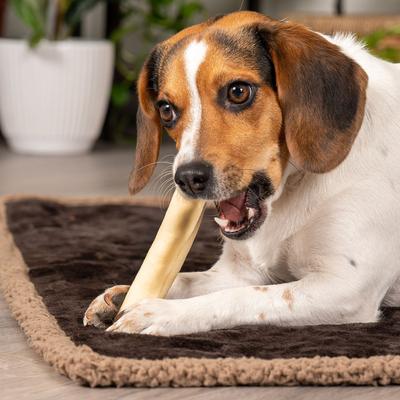 Show full view: Pet Factory Beefhide Chip Rolls 5-inch Natural Flavored Dog Hard Chews, 50 count slide 3 of 10