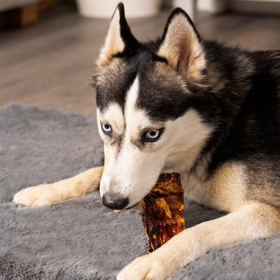 Show full view: Pet Factory Beefhide Chips Beef & Chicken Flavored Dog Hard Chews, 8-oz bag slide 3 of 10