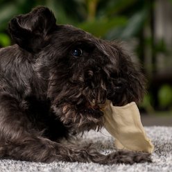 Pet Factory Beefhide Chips Natural Flavored Dog Hard Chews, 22-oz bag slide 2 of 9