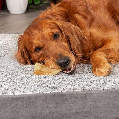 Show full view: Pet Factory Beefhide Chips Peanut Butter Flavored Dog Hard Chews, 22-oz bag slide 3 of 10