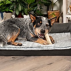 Pet Factory Beefhide Rolls 4 to 4.5-inch Natural Flavored Dog Hard Chews, 22 count slide 2 of 9