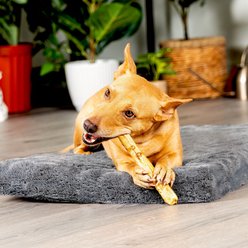 Pet Factory Beefhide Thin Rolls 10-inch Chicken Flavored Dog Hard Chews, 35 count slide 2 of 8