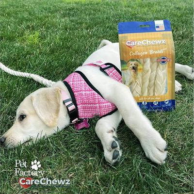 Show full view: Pet Factory CareChewz 6 to 7-inch Collagen Braids Natural Flavored Dog Hard Chews, 15 count slide 7 of 8