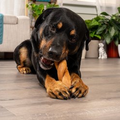 Pet Factory CareChewz 6 to 7-inch Collagen Twist Chicken Flavored Dog Hard Chews, 6 count slide 2 of 9