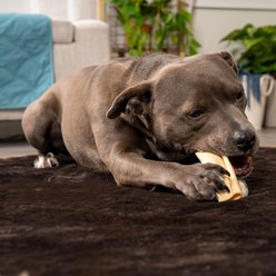 Pet Factory CareChewz 6 to 7-inch Collagen Wrap Natural Flavored Dog Hard Chews, 12 count slide 2 of 9