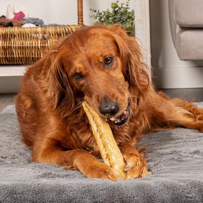 Show full view: Pet Factory CareChewz Collagen +PLUS 9-inch Rovers Chicken Flavored Chewy Dog Treats, 3 count slide 3 of 6