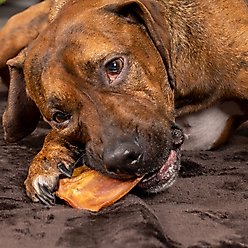 Pet Factory Real Chewz Premium Pig Ears Dog Treats, 7 count slide 2 of 8