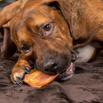 Show full view: Pet Factory Real Chewz Premium Pig Ears Dog Treats, 7 count slide 3 of 9