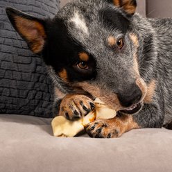 Pet Factory Twistedz 4 to 5-inch Beefhide Bones with Chicken Flavored Wrap Dog Hard Chews, 3 count slide 2 of 9