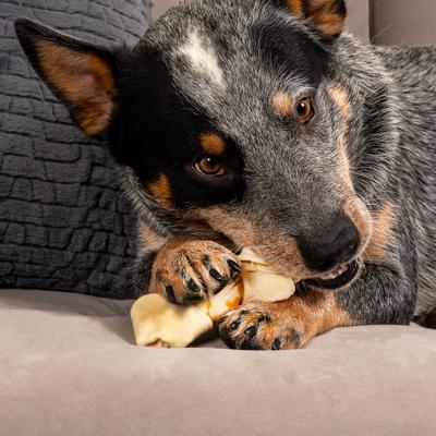 Show full view: Pet Factory Twistedz 4 to 5-inch Beefhide Bones with Chicken Flavored Wrap Dog Hard Chews, 3 count slide 3 of 10