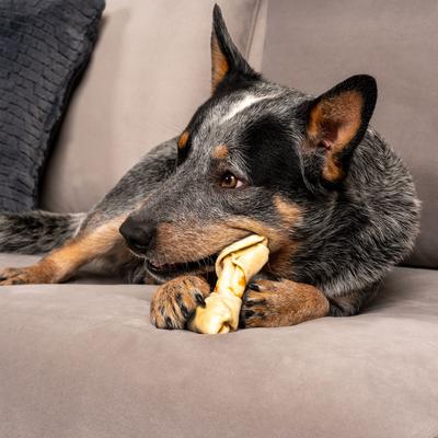 Show full view: Pet Factory Twistedz 4 to 5-inch Beefhide Bones with Chicken Flavored Wrap Dog Hard Chews, 3 count slide 9 of 10