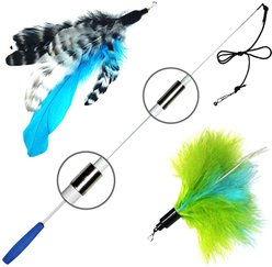 Pet Fit For Life 2 Feather Retractable Wand Cat Toy, Blue & Green