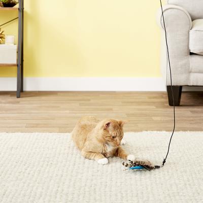 Show full view: Pet Fit For Life 2 Feather Retractable Wand Cat Toy, Blue & Green slide 2 of 10