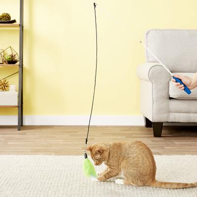 Show full view: Pet Fit For Life 2 Feather Retractable Wand Cat Toy, Blue & Green slide 3 of 10