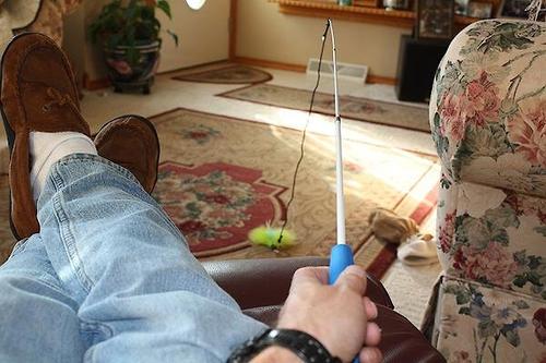 Show full view: Pet Fit For Life 2 Feather Retractable Wand Cat Toy, Blue & Green slide 7 of 10