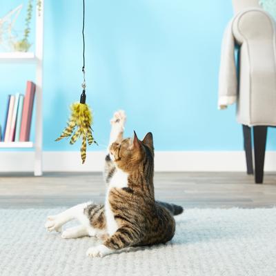 Show full view: Pet Fit For Life 2 Feathers & 1 Coon Tail Wand Cat Toy slide 4 of 11