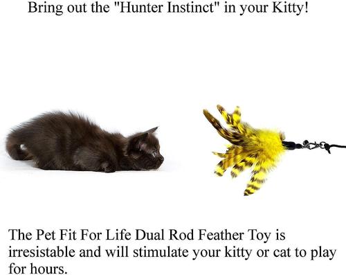 Show full view: Pet Fit For Life 2 Feathers & 1 Coon Tail Wand Cat Toy slide 8 of 11