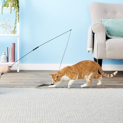 Show full view: Pet Fit For Life 2 Guinea Feather Wand Cat Toy slide 4 of 10