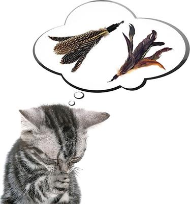 Show full view: Pet Fit For Life 2 Guinea Feather Wand Cat Toy slide 5 of 10