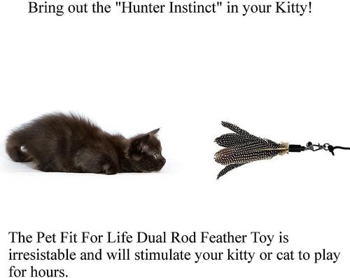 Show full view: Pet Fit For Life 2 Guinea Feather Wand Cat Toy slide 6 of 10