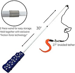 Pet Fit For Life 2 in 1 LED Laser Light & Interactive Wand Cat Toy slide 2 of 9