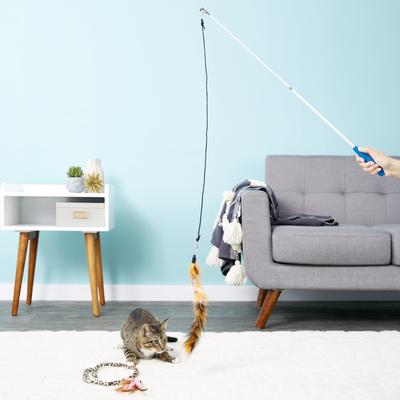 Show full view: Pet Fit For Life 3 Feather Dual Rod Wand Cat Toy slide 2 of 9