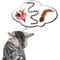 Show in main carousel: Pet Fit For Life 3 Feather Dual Rod Wand Cat Toy slide 6 of 9