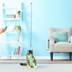 Pet Fit For Life 3 Piece Retractable Feather Wand Cat Toy slide 2 of 8