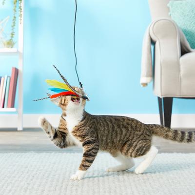 Show full view: Pet Fit For Life 3 Piece Retractable Feather Wand Cat Toy slide 3 of 10