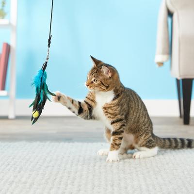 Show full view: Pet Fit For Life 4 Piece Dual Rod Wand Cat Toy slide 3 of 10