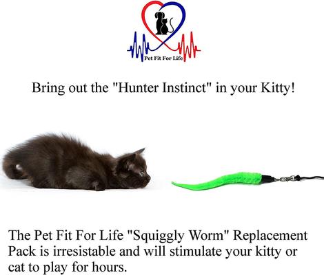 Show full view: Pet Fit For Life 5 Piece Squiggly Worm Replacement Pack for Wand Cat Toy slide 5 of 9