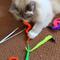 Show in main carousel: Pet Fit For Life 5 Piece Squiggly Worm Wand Cat Toy slide 3 of 10