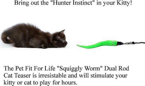 Show full view: Pet Fit For Life 5 Piece Squiggly Worm Wand Cat Toy slide 4 of 10