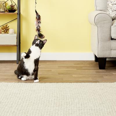 Show full view: Pet Fit For Life 6 Piece Replacement Feather Pack for Wand Cat Toy slide 4 of 10