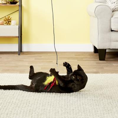 Show full view: Pet Fit For Life 6 Piece Replacement Feather Pack for Wand Cat Toy slide 5 of 10