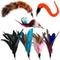 Show in main carousel: Pet Fit For Life 7 Piece Replacement Feather Pack for Wand Cat Toy slide 1 of 11