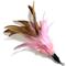 Show in main carousel: Pet Fit For Life 7 Piece Replacement Feather Pack for Wand Cat Toy slide 7 of 11