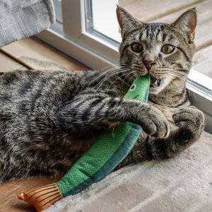 Pet Fit For Life Catnip Crinkle Fish & Hanging Cat Toy, 3 count