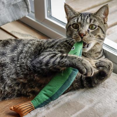 Show full view: Pet Fit For Life Catnip Crinkle Fish & Hanging Cat Toy, 3 count slide 3 of 9