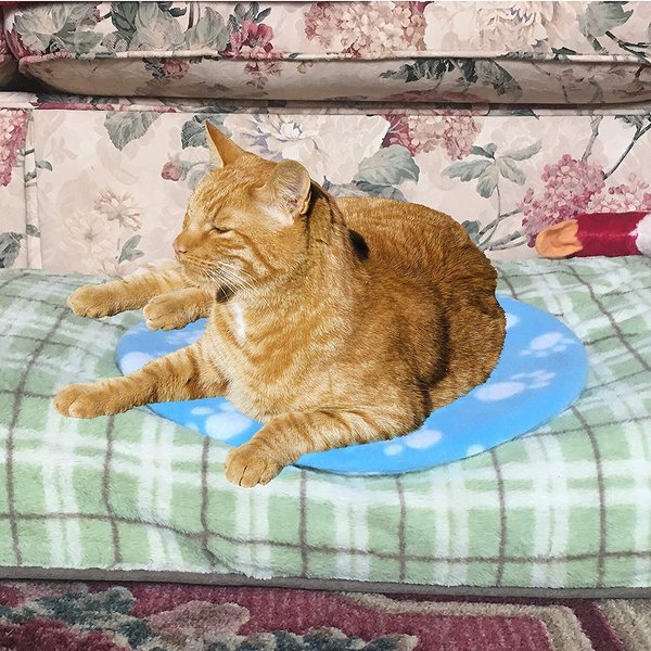 Show full view: Pet Fit For Life Cooling & Heating Pad slide 3 of 8