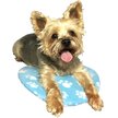 Show in main carousel: Pet Fit For Life Cooling & Heating Pad slide 4 of 8