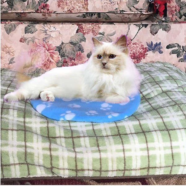 Show full view: Pet Fit For Life Cooling & Heating Pad slide 5 of 8