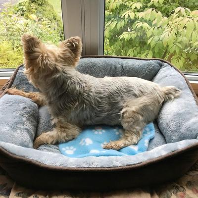 Show full view: Pet Fit For Life Cooling & Heating Pad slide 6 of 8