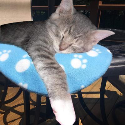 Show full view: Pet Fit For Life Cooling & Heating Pad slide 7 of 8