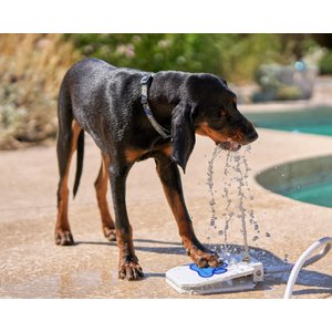 Pet Fit For Life Dog Step-on Sprinkler Dog Toy, Silver